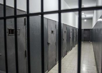 Конфеты вместе с наркотиками попытались передать осужденному в Усть-Каменогорске