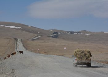 Новая трасса сделает Монголию ближе