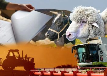 Контакт-центр Бюро обработал свыше 8 тыс. обращений в рамках сельхозпереписи