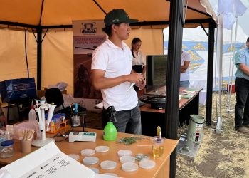 От Аркалыка до старшего технолога