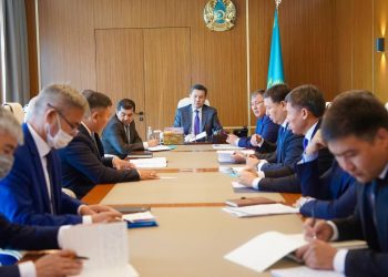 Вопрос гибели скота в Курчумском районе находится на особом контроле акима ВКО