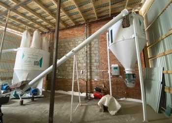 В Маркакольском районе запустили новое предприятие