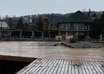 О планах развития района Алтай до 2029 года: туризм и сельское хозяйство