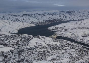 Леса ВКО под контролем: полицейские провели авиарейд