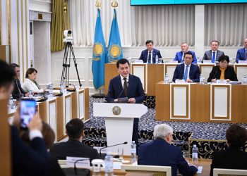 Это уже не правки, а новый смысл: Ерлан Карин о Конституции