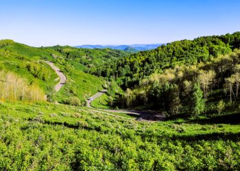 В ВКО в 2026 году завершат работы на Осиновском перевале