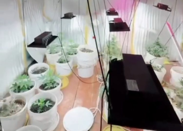 Фото: кадр из видео