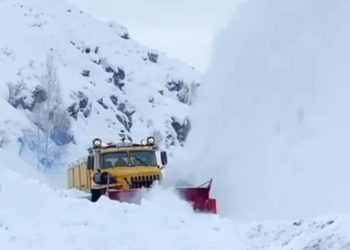 Горные склоны очистили от снега в Восточном Казахстане