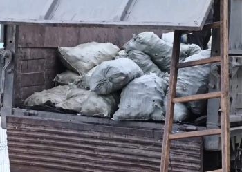 Прокуратура пресекла ввоз крупной партии браконьерской рыбы в Усть-Каменогорск