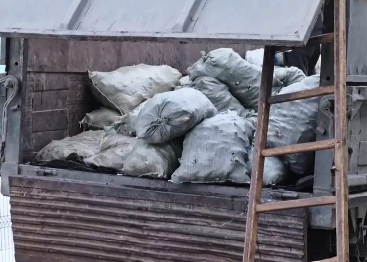 Фото: скриншот из видео