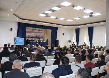 Энергетики поддержали проект Новой Конституции