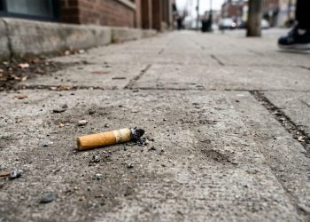 Акиматы Казахстана получили право штрафовать за мусор в общественных мест