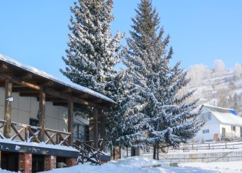 Нацпарки бесплатно для детей: Казахстан усиливает поддержку туризма