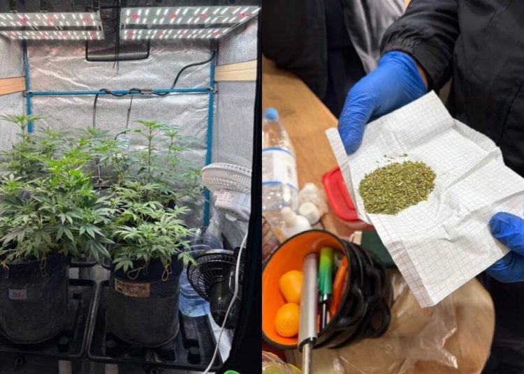 Фото: polisia.kz