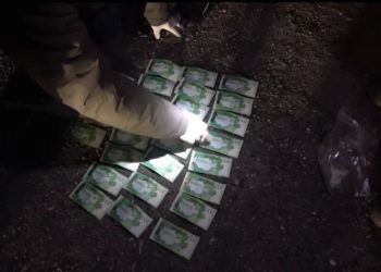 Почти 100 кг наркотиков изъяли в ВКО: задержан 27-летний подозреваемый