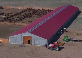 ВКО и Улытау подписали меморандум о взаимодействии в АПК