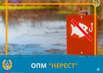 В ВКО стартовало ОПМ «Нерест»: усилен контроль за незаконной добычей рыбы