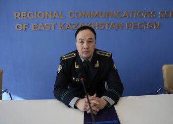 В ВКО в 2025 году пресекли деятельность трёх финансовых пирамид