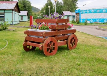 ВКО: почти 100% школьников планируют охватить летним отдыхом и занятостью