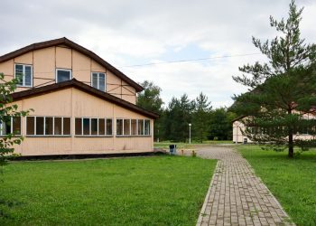 Сезон клещей: базы отдыха и лагеря обязали усилить меры безопасности