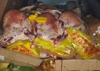 В ВКО пресекли перевозку мяса без документов