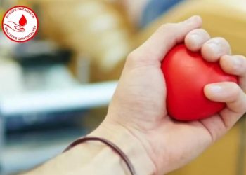 Шанс на жизнь: в ВКО ищут доноров гемопоэтических стволовых клеток