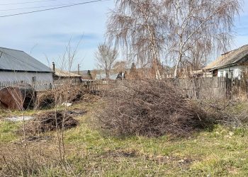 Почти 80 жителей ВКО наказаны за несвоевременную уборку территорий