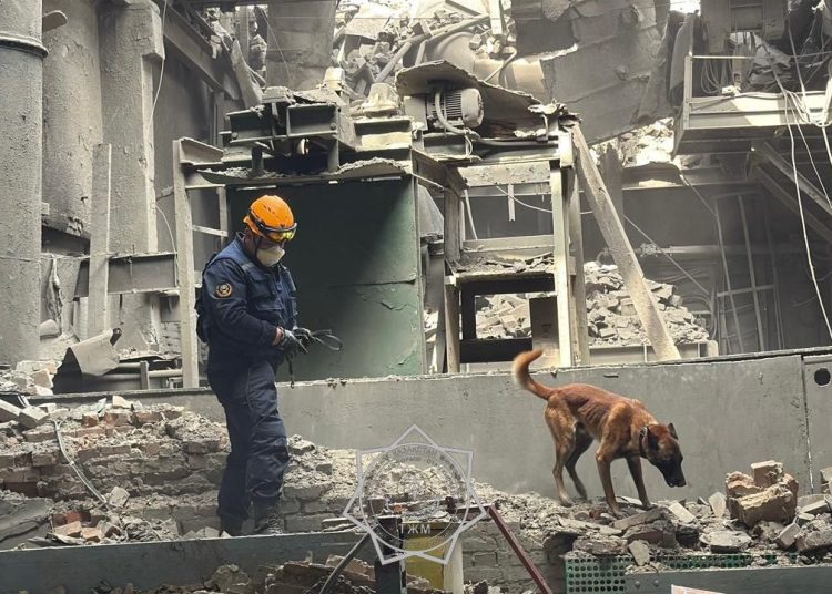 Фото: ДЧС ВКО