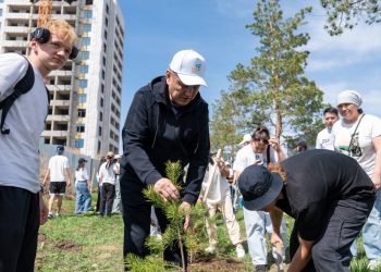 В Усть-Каменогорске выпускники высадили почти 2,5 тысячи саженцев