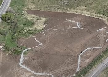 Новый парк в Усть-Каменогорске станет центром экологии и отдыха
