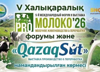 Восточный Казахстан станет центром международных аграрных форумов в 2026 году