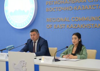 В Уланском районе ВКО запланированы промышленные проекты на 243 млрд тенге