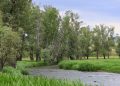 В ВКО с начала года выявили 10 нарушений водного законодательства