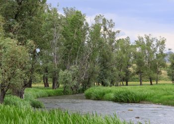 В ВКО с начала года выявили 10 нарушений водного законодательства