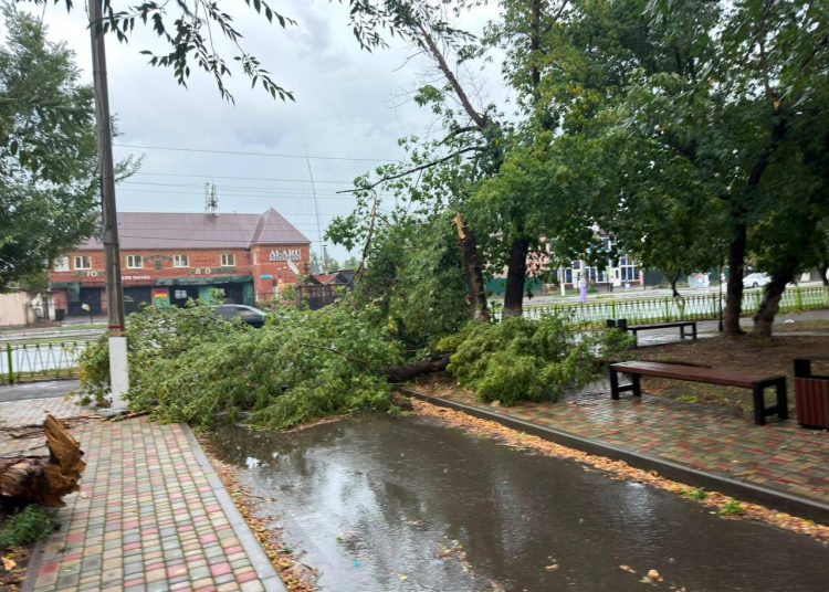 Фото: пресс-служба акима города Усть-Каменогорска