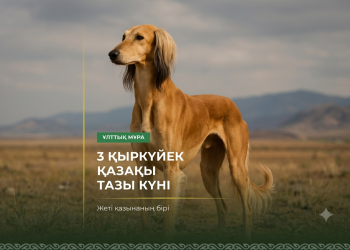 В Казахстане сегодня впервые отмечают День казахского тазы и тобета