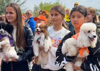 В Усть-Каменогорске 5 сентября пройдёт большой семейный фестиваль PET DOG FEST 2026