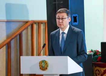 Вице-министр здравоохранения встретился с жителями Шемонаихи