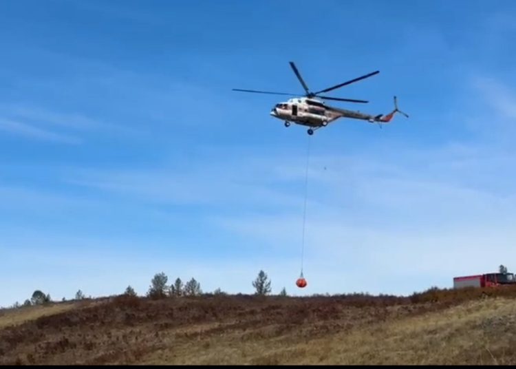 Фото: скриншот из видео