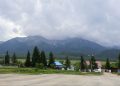 Лес как источник развития: в Катон-Карагае запускают углеродный проект