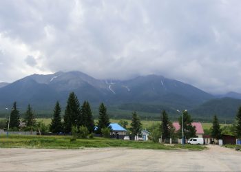 Лес как источник развития: в Катон-Карагае запускают углеродный проект