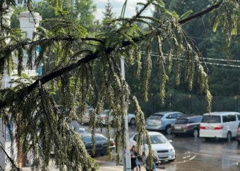 ШҚО-да алдағы күндер жауын-шашынды болады