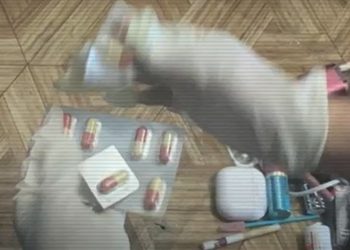 ШҚО-да 380 мың тонна прекурсор тәркіленді