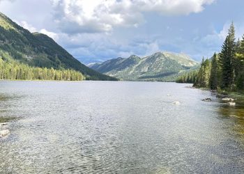 ШҚО-да «Altay Invest» халықаралық форумы өтеді