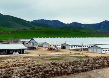 Құны 10 млрд теңге болатын жобаның бұзылуына жол берілмеді – ШҚО Прокуратурасы