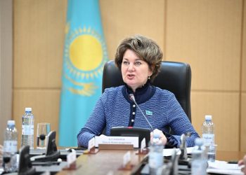 Сенатор Булавкина көрші елдің идеологиялық ықпалына алаңдаушылық білдірді