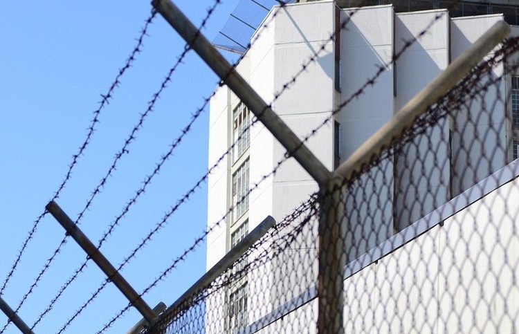 Фото: pixabay.com