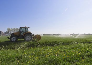 ШҚО-да суармалы жерлерді ұлғайту жоспары орындалмай жатыр