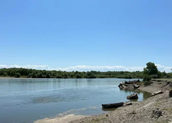 Ертіске бекіре оралды