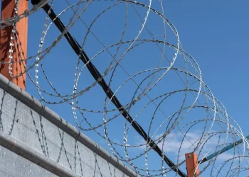 Рақымшылық: ШҚО-да 18 адам түрмеден босап шықты